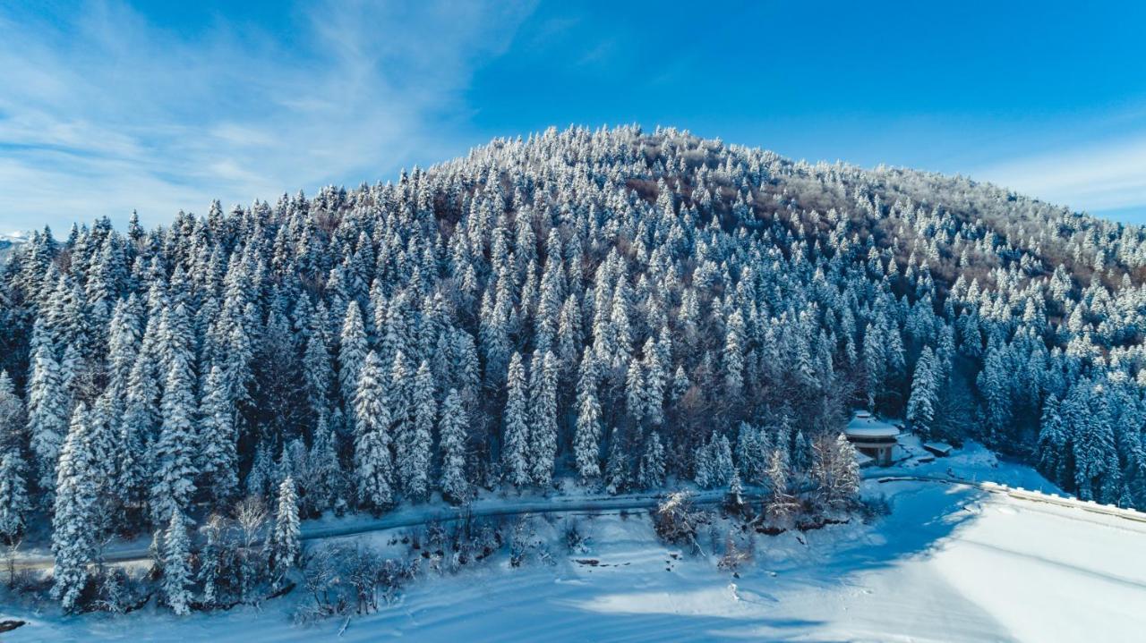Hotel Sport, Resort Маврово Экстерьер фото